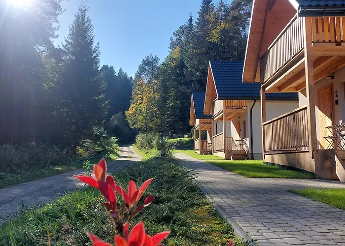 Domki Zew Natury