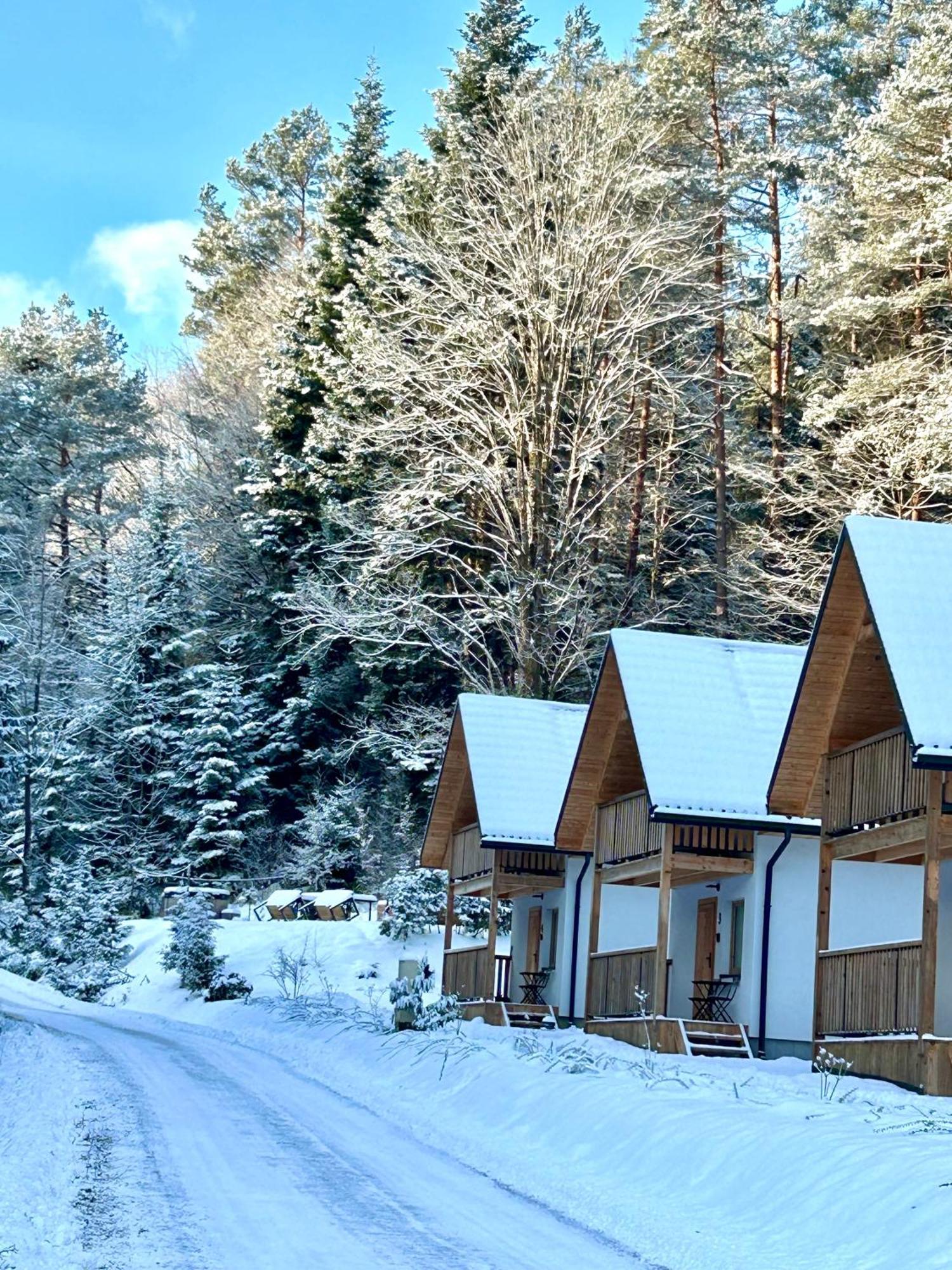 Zew Natury Holiday home Lesko