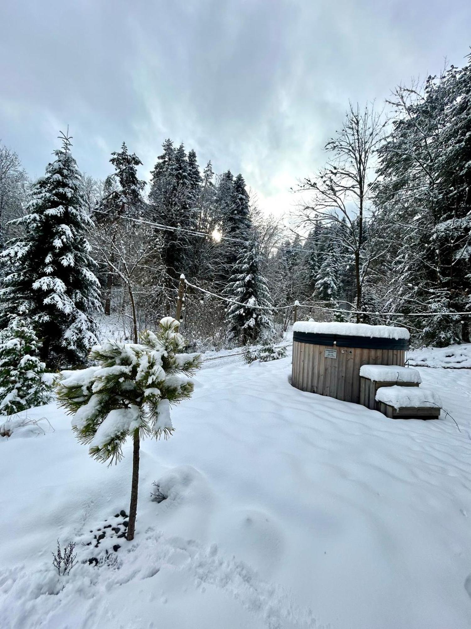 Zew Natury Holiday home Lesko