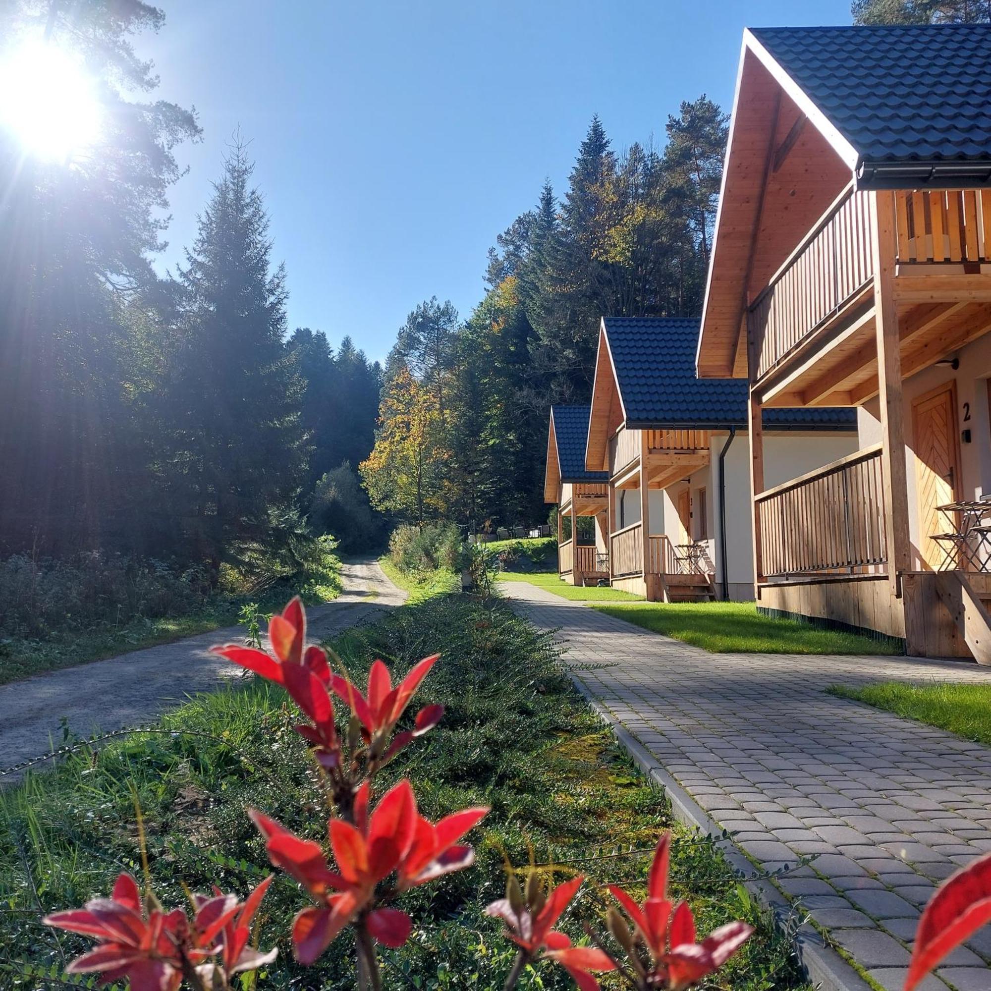 Zew Natury Holiday home Lesko